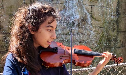 Education – Anisa Roshan-Zamir (13 ani)